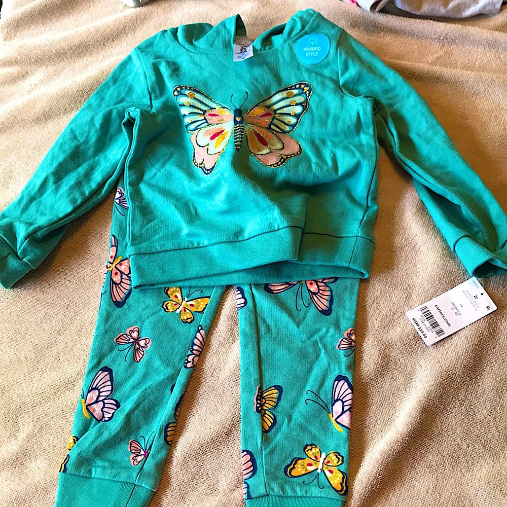 Carter’s outfit toddler girls 2T